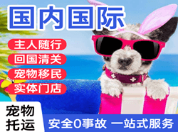 格尔木航空货运国际宠物托运 【国